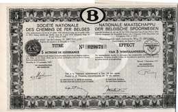 Titre De Bourse NMBS - SNCB - De 5 Actions De Jouissance - Van 5 Winstaandeelen - 1937. - Ferrovie & Tranvie