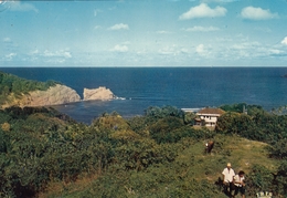 Martinique - La Cote Atlantique Vers Trinite 1979 - La Trinite