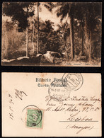 1907 - Portugal Guinea Bissau Postcard Circulated From S. Tomé To Lisbon. Geba Surroundings. Jungle. Trees. 10r Stamp. - Guinea Bissau