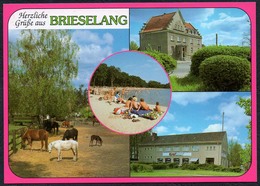 D0902 - TOP Brieselang - Bild Und Heimat Reichenbach - Qualitätskarte - Brieselang