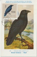 Pologne Carte Maximum Oiseaux 1960 Corbeau 1071 - Maximumkaarten