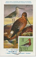 Pologne Carte Maximum Oiseaux 1964 Barge 1349 - Maximumkaarten