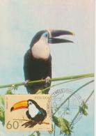 Pologne Carte Maximum Oiseaux 1972 Toucan 2009 - Tarjetas Máxima