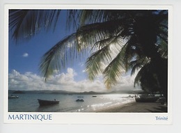 Martinique : Trinité (photo Rosalie Canelle) - La Trinite