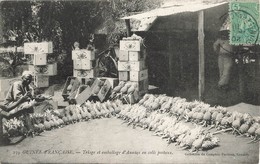 Guinée Française Triage Et Emballage D' Ananas En Colis Postaux + Timbre Cachet 1910 - Guinée Française