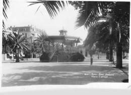 Afrique  Algérie > Sidi-bel-Abbès SIDI BEL ABBES  Place Carnot  (kiosque)- Editions La Cigogne 517 *PRIX FIXE - Sidi-bel-Abbes