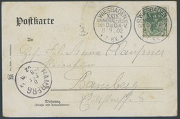 SST Bis 1918 04 BRIEF, WIESBADEN XXIX. GENERAL-VERS. DES D.u.Ö.A.-V., 8.9.1902, Auf Festtagskarte, Feinst - Storia Postale