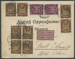 Dt. Reich 235/6 BRIEF, 1923, 10 (2x) Und 25 M. (8x) Holztaube In Einheiten Auf Eilbrief Von NIENBURG Nach Forst, Feinst - Used Stamps