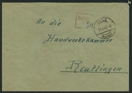 ALL. BES. GEBÜHR BEZAHLT SULZ (NECKAR), 25.2.47, Roter R2 Gebühr Bezahlt, Handschriftlich 24 Eingefügt, Brief Feinst - Sonstige & Ohne Zuordnung