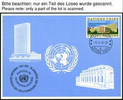UNO - GENF-BLAUE KARTEN 1976-88, Ca. 96 Verschiedene Blaue Karten, Dabei 1979-85 Komplett, Pracht, Mi. 287.30 - Autres & Non Classés