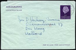 NIEDERLÄNDISCH-NEUGUINEA 1962, 35 C. Violett Ganzsachen-Aerogramm Von Biak Nach Holland, Feinst - Nouvelle Guinée Néerlandaise