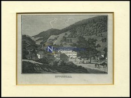 BAD RIPPOLDSAU, Gesamtansicht, Holzstich Von Heunisch Um 1840 - Lithographien