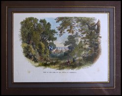 DARMSTADT: Partie Aus Dem Schloßpark, Kolorierter Holzstich Von Püttner Um 1880 - Lithografieën