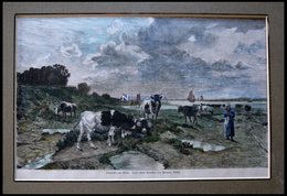 Der RHEIN, Eine Viehweide, Kolorierter Holzstich Nach Baisch Um 1880 - Lithografieën