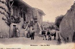 CPA  : Hermance (Suisse) Pittoresque  Rue Du Midi  Attelage  De Boeufs = Ed Charnaux 5363 - Hermance