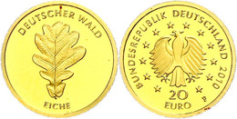 20 Euro, Gold, 2010, Deutscher Wald-Eiche, Mzz. F, In Kapsel,st., Katalog: J. 552 St - Other & Unclassified