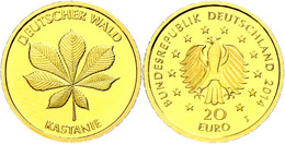 20 Euro, Gold, 2014, Deutscher Wald-Kastanie, Mzz J, In Kapsel Mit Zertifikat, St., Katalog: J. 589 St - Other & Unclassified