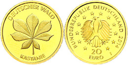 20 Euro, Gold, 2014, Deutscher Wald-Kastanie, Mzz J, In Kapsel Mit Zertifikat, St., Katalog: J. 589 St - Sonstige & Ohne Zuordnung