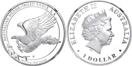 1 Dollar, 2015, Wedged Tailed Eagle, In Slab Der NGC Mit Der Bewertung PF70 Ultra Cameo, Flag Label. - Other & Unclassified