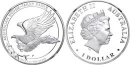 1 Dollar, 2015, Wedged Tailed Eagle, In Slab Der NGC Mit Der Bewertung PF70 Ultra Cameo, Flag Label. - Sonstige & Ohne Zuordnung