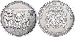 2.000 Francs, 2013, Africa - Babylöwen, 3 Unzen Silber, Antik Finish, In Kapsel Mit Zertifikat, St. Auflage Nur 500 Stüc - Gabun