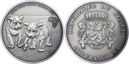 2.000 Francs, 2013, Africa - Babylöwen, 3 Unzen Silber, Antik Finish, In Kapsel Mit Zertifikat, St. Auflage Nur 500 Stüc - Gabon