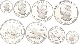 Set Zu 2 - 5 Dollars, 2004, Silberbarrenmünzen - Arctic Fox, Schön 574 - 577, Im Etui Mit OVP Und Zertifikat, PP. Auflag - Canada