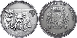 1.000 Francs, 2013, Africa - Babylöwen, 1 Unzen Silber, Antik Finish, In Kapsel Mit Zertifikat, St. Auflage Nur 2.000 St - Congo (Democratische Republiek 1964-70)