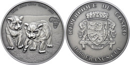 1.000 Francs, 2013, Africa - Babylöwen, 1 Unzen Silber, Antik Finish, In Kapsel Mit Zertifikat, St. Auflage Nur 2.000 St - Congo (Democratische Republiek 1964-70)