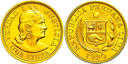 1 Libra, Gold, 1920, Fb. 73, Vz-st.  Vz-st - Peru