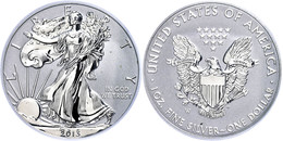 1 Dollar, 2013, W, Silver Eagle, In Slab Der PCGS Mit Der Bewertung PR70, Reverse Proof, First Strike, West Point Mint L - Andere & Zonder Classificatie