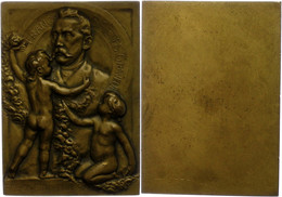 Belgien, Rechteckige Bronzeplakette (Dm. Ca. 67,20x48,20mm, Ca. 114,04g), 1895. Av: Zwei Knaben Schmücken Ein Medaillon, - Sonstige & Ohne Zuordnung