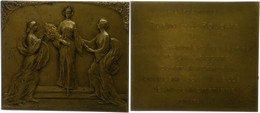 Belgien, Rechteckige Bronzeplakette (ca. 65x55,20mm, Ca. 80,87g), 1912, Von De Smeth, Auf Die Ausstellung In Turin Und R - Andere & Zonder Classificatie
