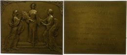 Belgien, Rechteckige Bronzeplakette (ca. 65x55,20mm, Ca. 80,87g), 1912, Von De Smeth, Auf Die Ausstellung In Turin Und R - Other & Unclassified