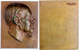 Schweiz, Rechteckige, Einseitig Geprägte Bronzeplakette (ca. 67,10 X 53,90mm, Ca. 167,26g), 1918, Auf Sigismond Laskowsk - Andere & Zonder Classificatie