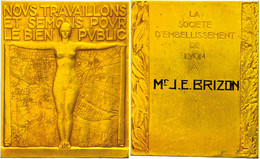 Frankreich, Rechteckige Messingmedaille (ca. 53x44mm, Ca. 55,83g), Von Jean Dulac. Av: Stehende Weibliche Gestalt Mit Au - Andere & Zonder Classificatie