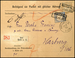 5 Gr. Ockerbraun Und 2 Gr. Blau Großer Schild Je Mit Ra2 HALLE A/S 10.6.(73) Auf Paketbegleit-Vordruckkarte "Buchhandlun - Other & Unclassified