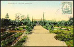 JOHANN-ALBRECHTSHÖHE 23/8 10 Klar Auf Farbiger Ansichtskarte Gartenanlagen Auf Farm Rietfontein Mit Vorderseitiger 5 Pfg - German South West Africa