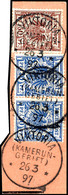 2 Werte 48d Blau Und Einmal 50 D Braun, Tadelloser Postanweisungsabschnitt Mit 3 Stempeln "VIKTORIA KAMERUN-GEBIET", For - Kamerun