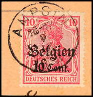 "AMPSIN 2 IX 1918",  Klar Und Zentr. Auf Paketkartenausschnitt 10 C., Katalog: 14 BS - WWI