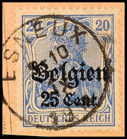 "ESNEUX 21 IX 1918",  Klar Auf Paketkartenausschnitt 25 C., Katalog: 18 BS - Eerste Wereldoorlog