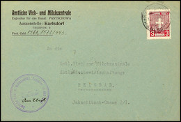 Dienstmarke über 3 Din. Auf Portogerechtem Inlandsbrief Der Amtlichen Vieh- Und Milchzentrale, Aussenstelle Karlsdorf, N - WW2