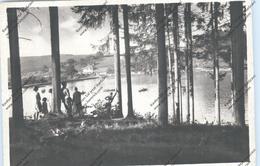 7157 MURRHARDT - FORNSBACH, Waldsee, 1944, Kl. Druckstelle - Waiblingen