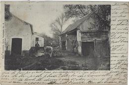 Bruxelles.   -   Serie Paysage  -   Landbouw  /   Boerderij   -   1902   Naar   Denderleeuw - Sin Clasificación