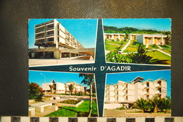 CP, MAROC, MOROCCO,  Souvenir D'AGADIR - Agadir