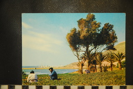 CP, MAROC, MOROCCO,  AGADIR   VUE VERS LE PORT ANIMEE - Agadir