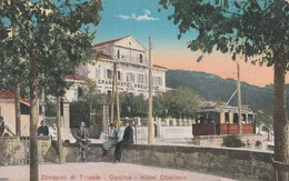 DINTORNI DI TRIESTE - OPICINA - HOTEL OBELISCO - Trieste