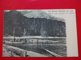 RIO BUEMUL AFLUYENTE DEL LAGO NAHUEL HUAPI NEUQUEN - Argentinien