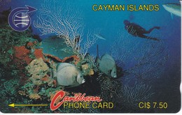 TARJETA DE CAYMAN ISLANDS DE VARIOS PECES (FISH-PEZ-POISSON) 3CCIA - Peces