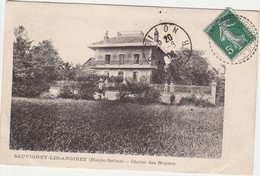 SAUVIGNEY LES ANGIREY  70  HAUTE SAONE  BELLE CPA   LE CHALET DES NOYERS - Other & Unclassified